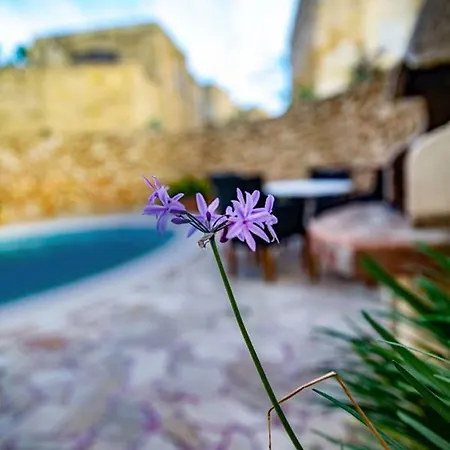 Guest house Razett Cipressa *